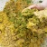 家用青饲料打浆机青鲜植物土豆瓜果粉碎机20年专业制造