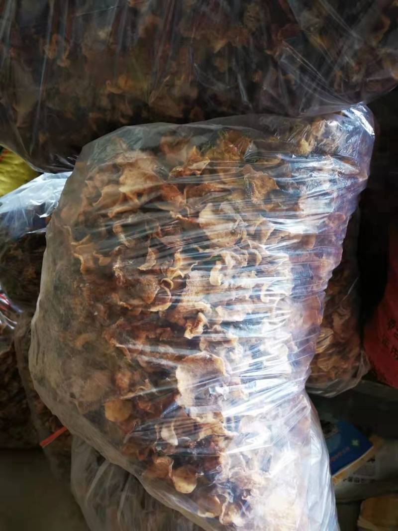 羊肚耳干品，基地直供，货量充足，欢迎订购