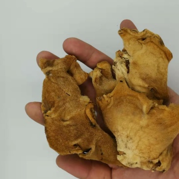 榆耳干品，颜色正，基地种植直供，量大优惠