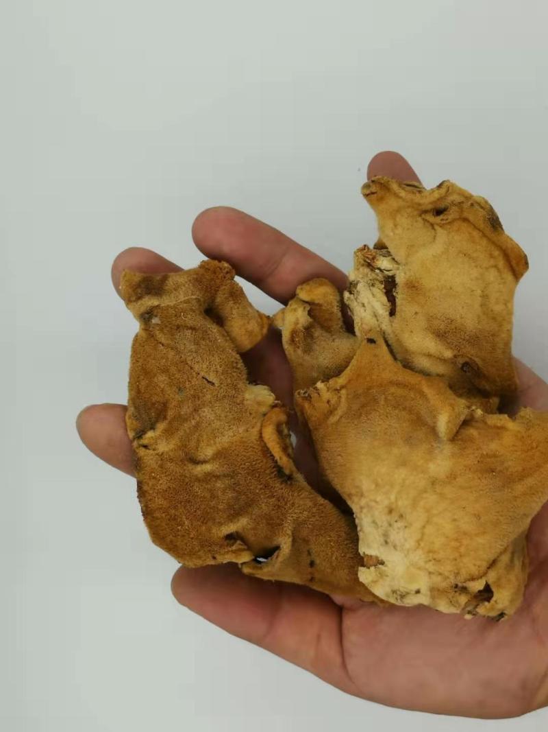 榆耳干品，颜色正，基地种植直供，量大优惠