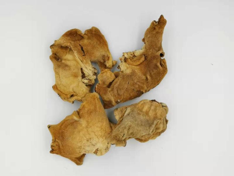 榆耳干品，颜色正，基地种植直供，量大优惠