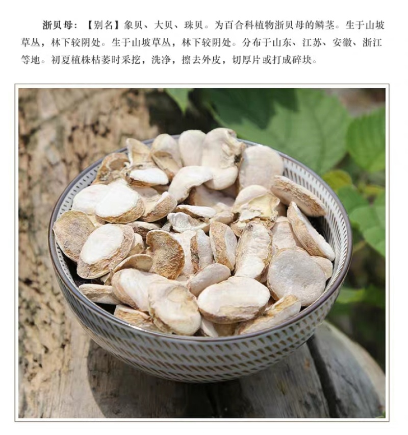 浙贝母片大贝片平贝母非便宜货无硫纯净货