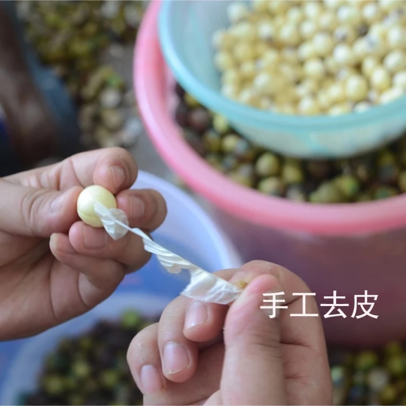 莲子心莲子芯无硫正品散装产地直销优质莲芯