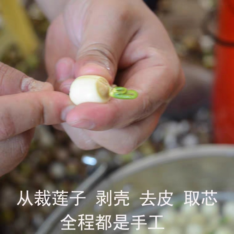 莲子心莲子芯无硫正品散装产地直销优质莲芯