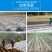 农用地膜薄膜除草膜保湿膜黑色地膜白色地膜银黑膜双白膜
