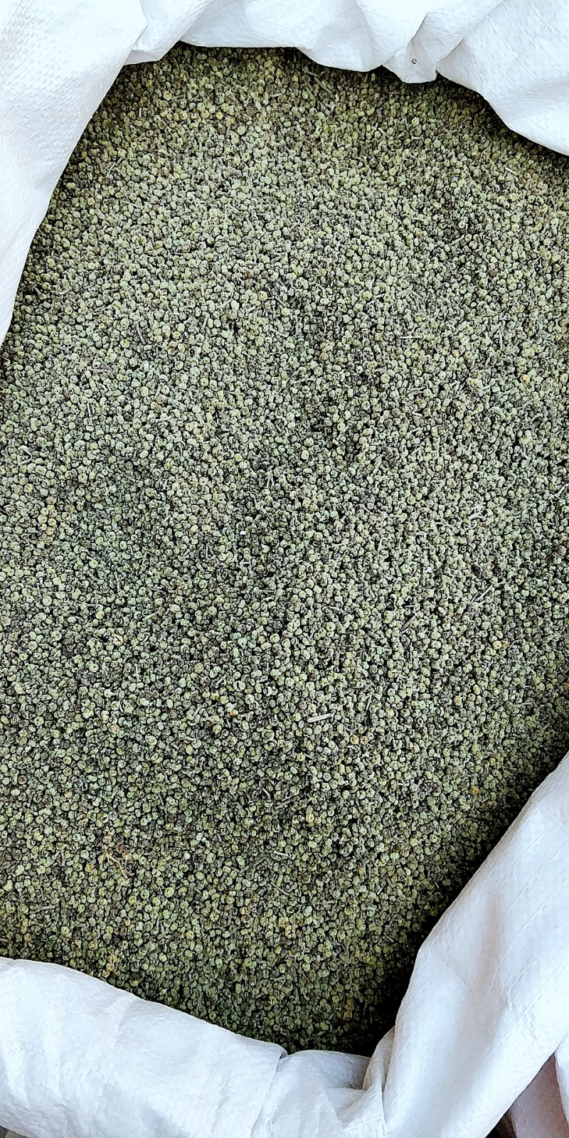 正品吴茱萸中花小花各种规格优质吴茱萸包含量产地直销