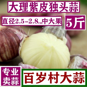 紫皮蒜头干蒜包邮5斤紫皮蒜独头紫皮大蒜云南紫皮大蒜精选好果