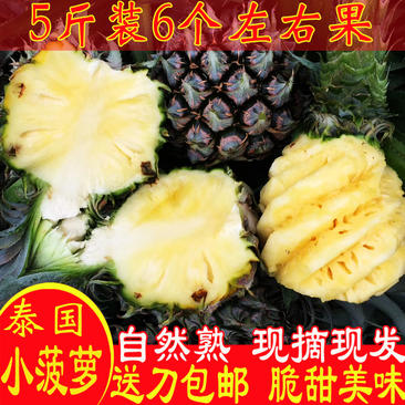 【送菠萝刀】泰国香水小菠萝5斤包邮新鲜迷你菠萝水果非凤梨