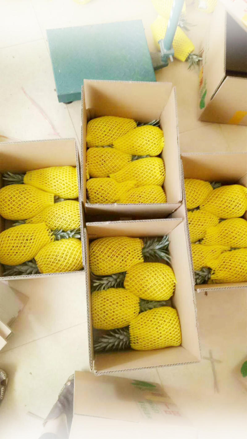 【送菠萝刀】泰国香水小菠萝5斤包邮新鲜迷你菠萝水果非凤梨