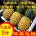 广东特产湛江徐闻现摘现发大菠萝8斤新鲜水果非凤梨9-10斤