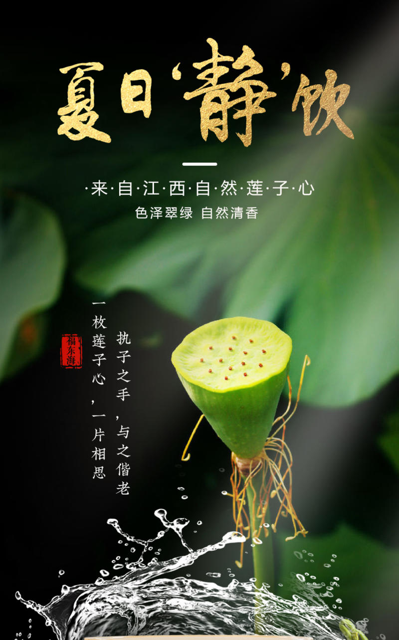 福东海莲子心茶莲子心搭配甘草菊花泡水枸杞清心莲子心75g