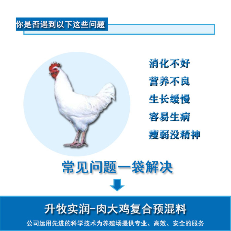 鸡预混料肉鸡饲料肉大鸡饲料大鸡饲料鸡预混料北京厂家批发