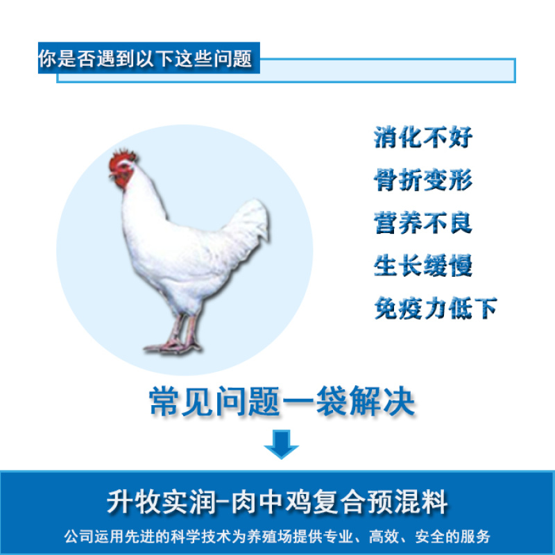 鸡预混料鸡饲料肉中鸡饲料肉鸡生长期预混料鸡饲料厂家直销