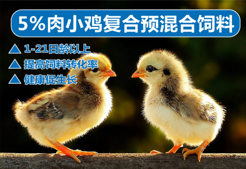 小鸡饲料小鸡预混料肉小鸡饲料鸡预混料补充营养提高抵抗力
