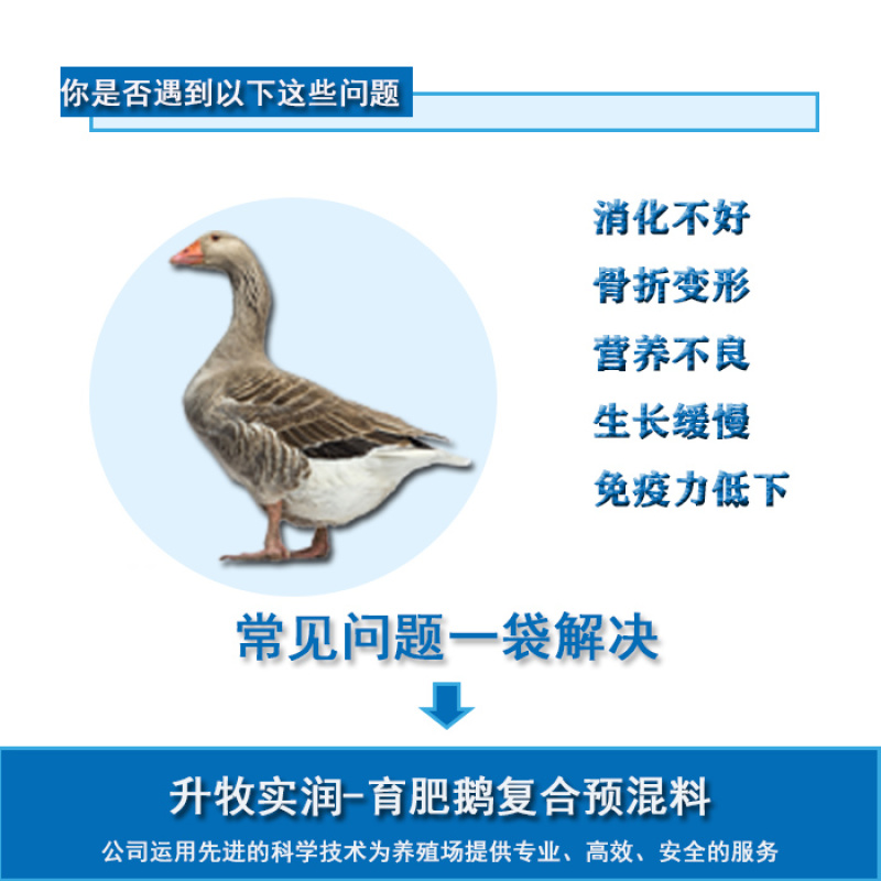 鹅预混料鹅饲料育肥鹅饲料鹅后期育肥专用预混料
