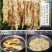 安徽特产蛋白肉豆腐皮纯豆子做可一件代发