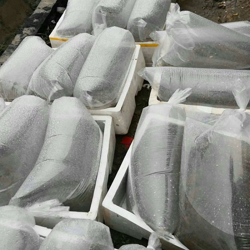 黑斑蛙苗青蛙卵种苗青蛙苗包技术包回收