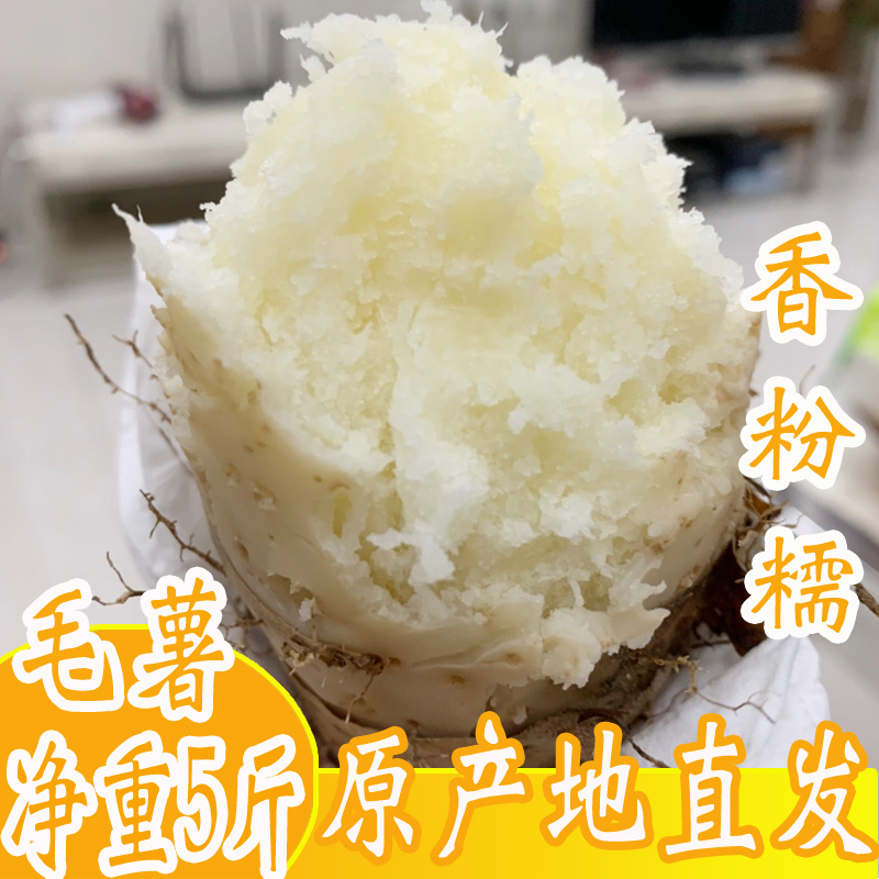 广东参薯湛江特产新鲜毛薯包邮粉糯香小甜薯猪仔薯黎洞薯田薯山药