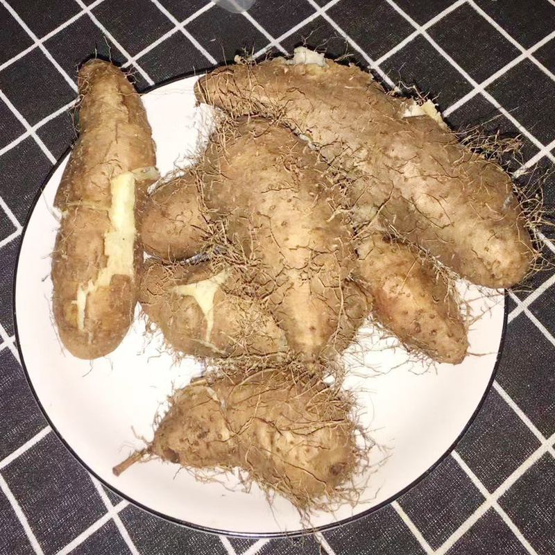广东参薯湛江特产新鲜毛薯包邮粉糯香小甜薯猪仔薯黎洞薯田薯山药