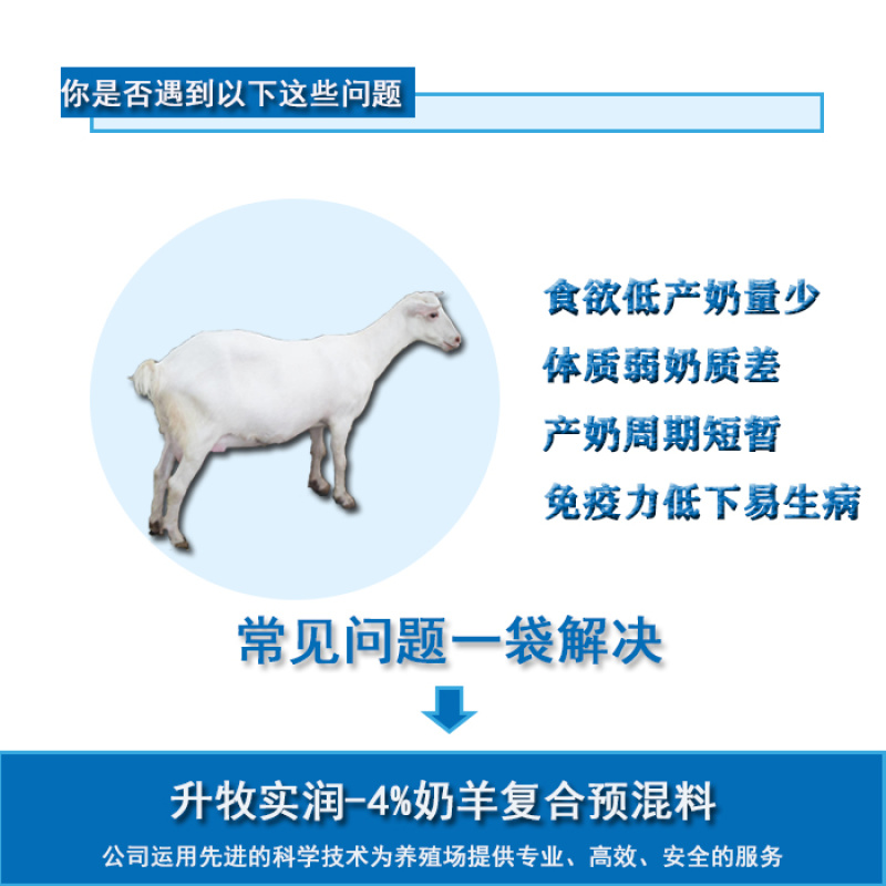 奶山羊饲料高产奶山羊预混料提高产奶量奶羊饲料奶羊预混料