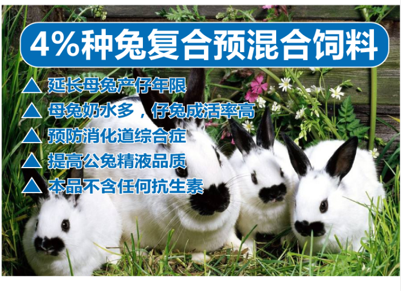 种兔预混料母兔预混料母兔专用预混料种兔专用预混料