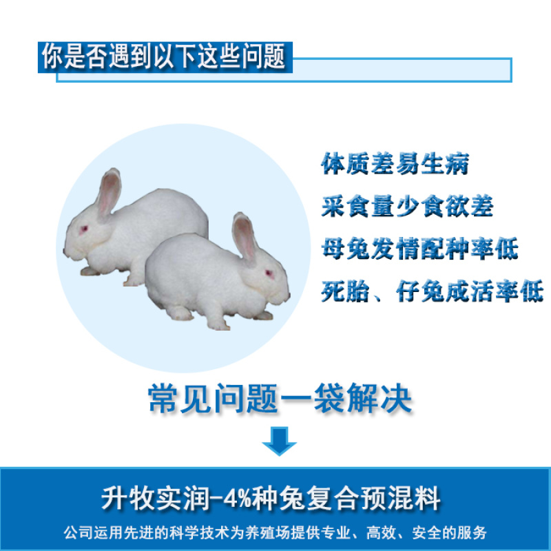 种兔预混料母兔预混料母兔专用预混料种兔专用预混料
