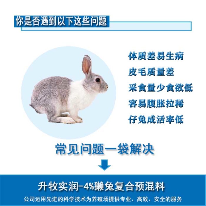 兔预混料獭兔预混料獭兔饲料獭兔专用预混料北京厂家直销包邮