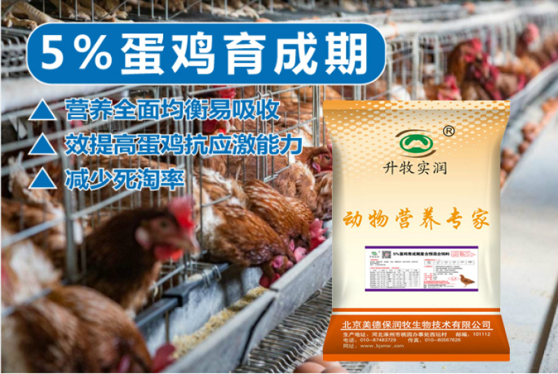 鸡预混料蛋鸡青年期预混料蛋鸡生长期专用预混料