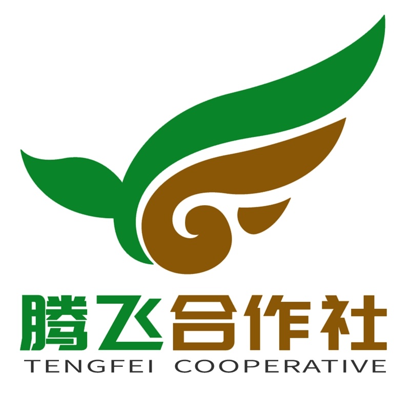 平菇菌种实力商家母种原种栽培种常年供应欢迎咨询洽谈合作