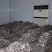 羊肚菌菌种实力工厂品质优良免费提供栽培技术欢迎联系
