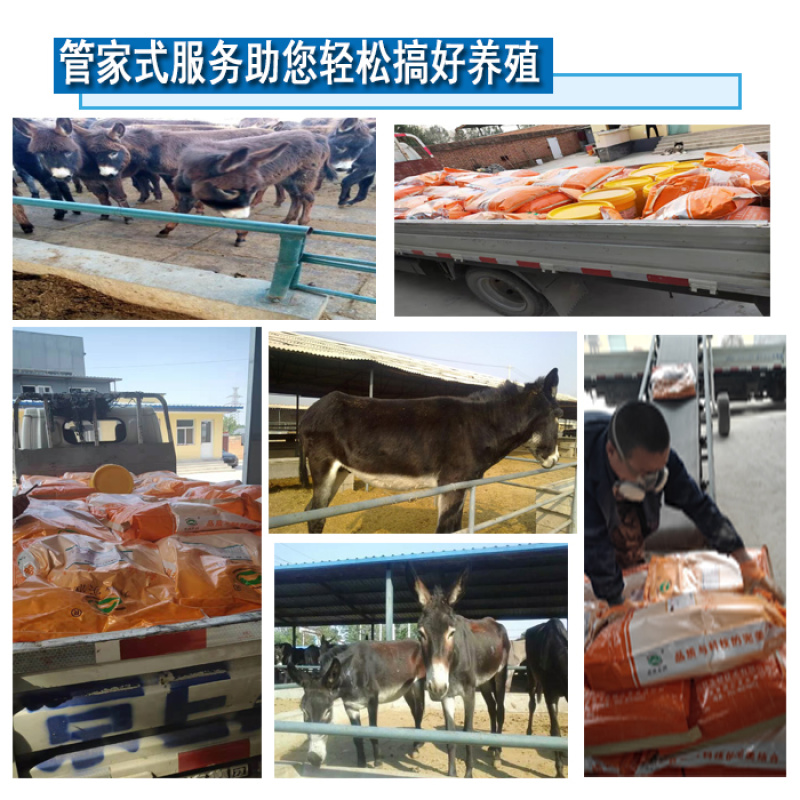 驴预混料青年驴马饲料4%生长驴预混料驴前期长骨架用预混料