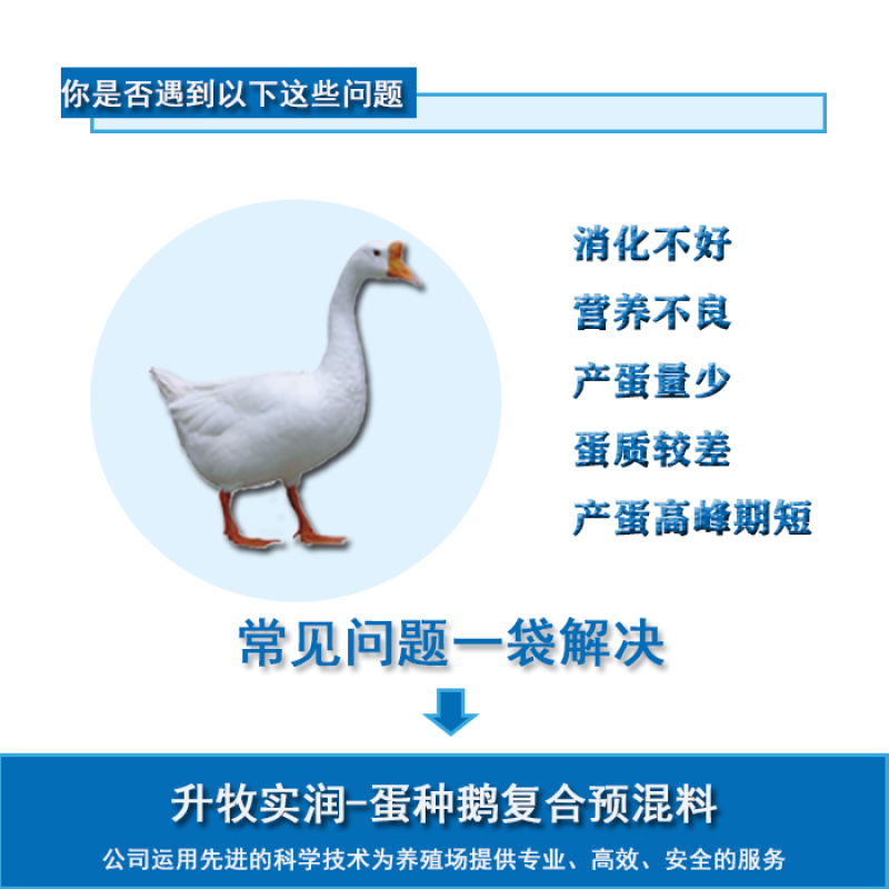 蛋鹅预混料种鹅预混料5%种鹅复合预混料提高产蛋率鹅预混料