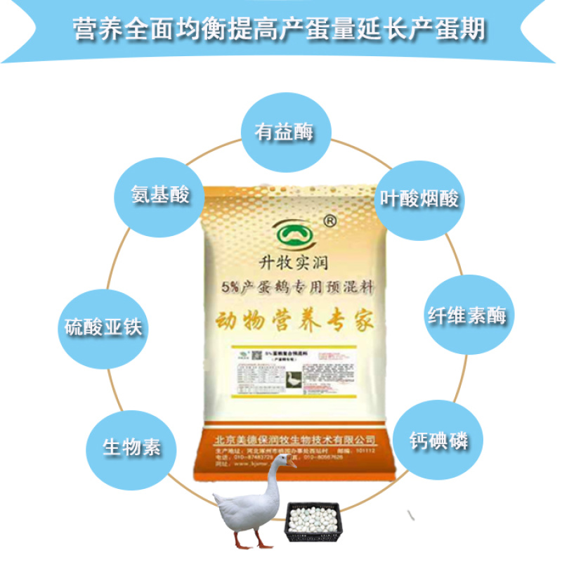 蛋鹅预混料种鹅预混料5%种鹅复合预混料提高产蛋率鹅预混料