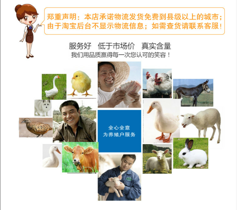 蛋鹅预混料种鹅预混料5%种鹅复合预混料提高产蛋率鹅预混料