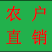 霸王棕农户基地直销高度3米-5米
