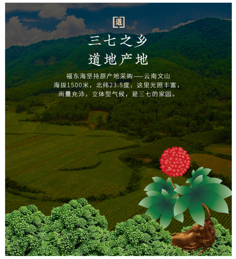 特价批发福东海云南正宗文山三七粉新鲜三七粉只田七头250g
