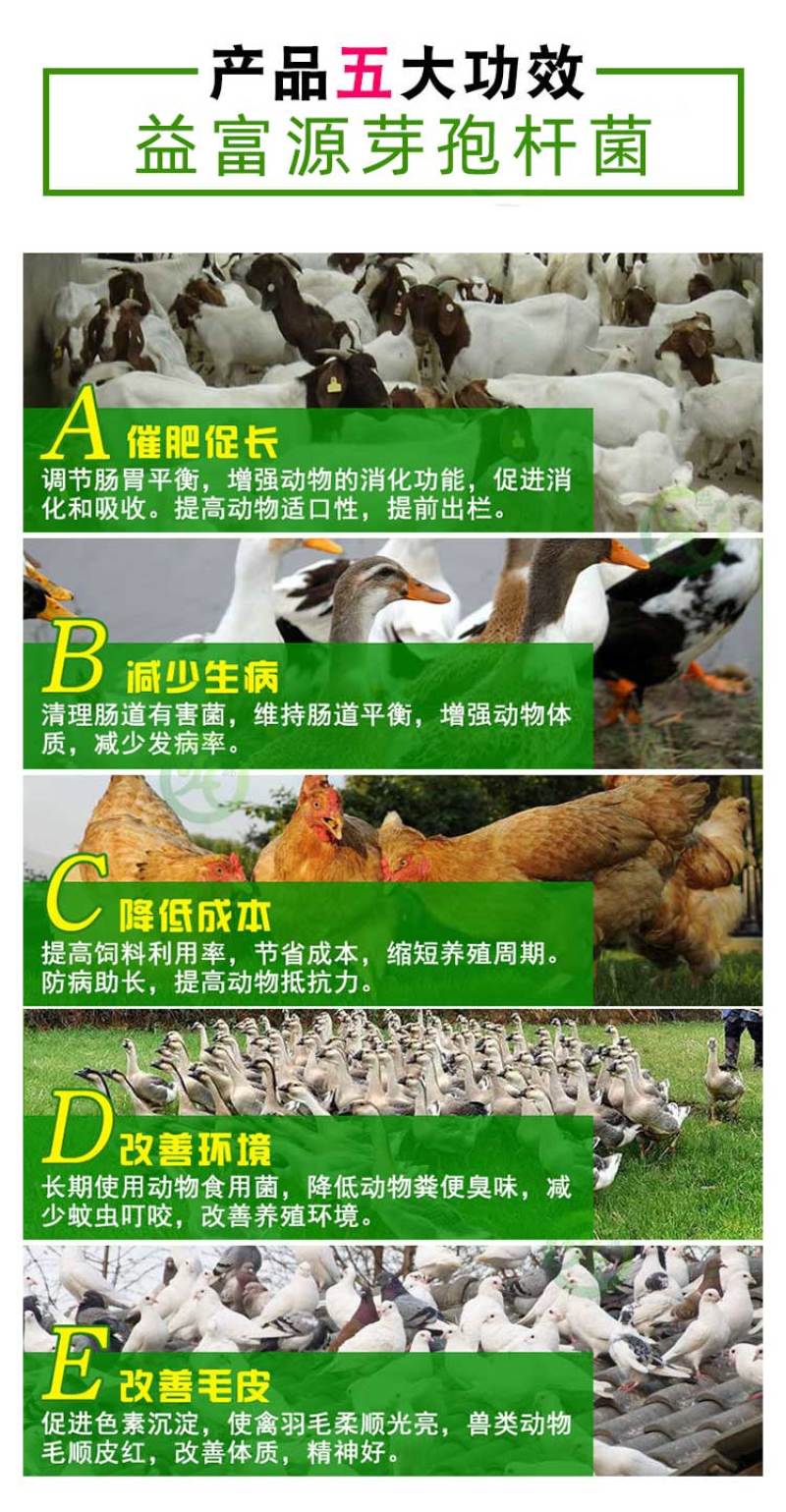 枯草芽孢杆菌养殖兽用禽用
