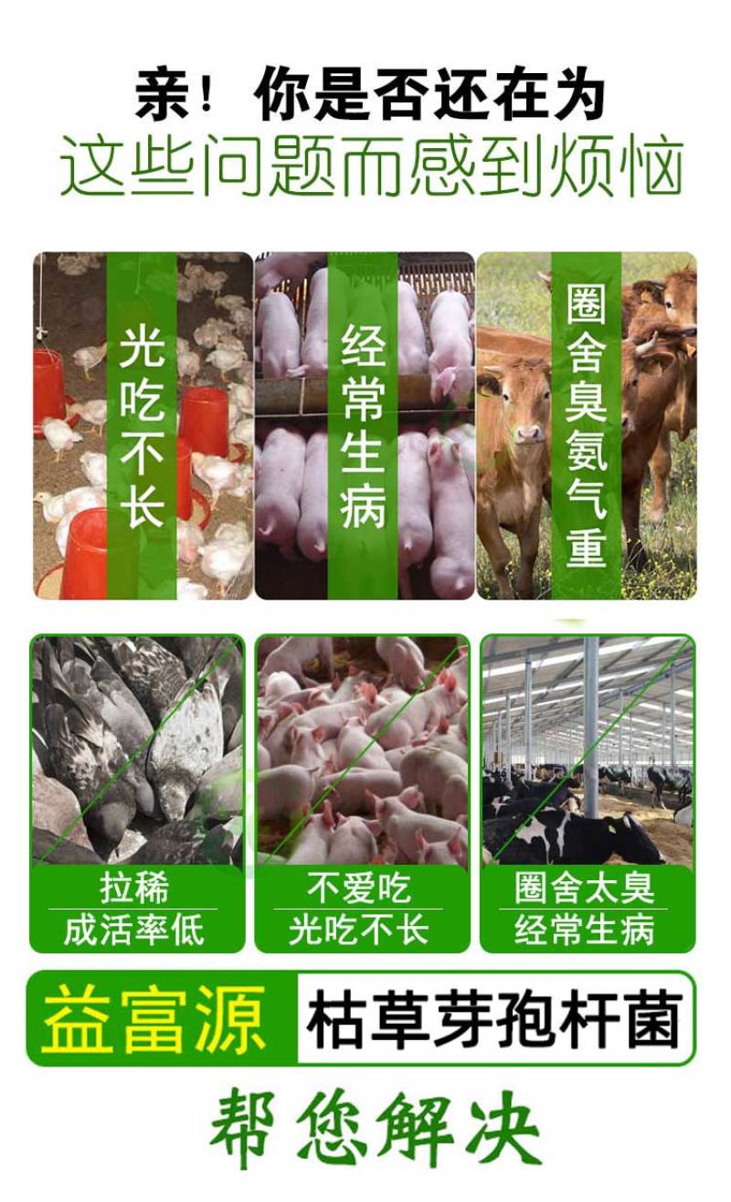 枯草芽孢杆菌养殖兽用禽用
