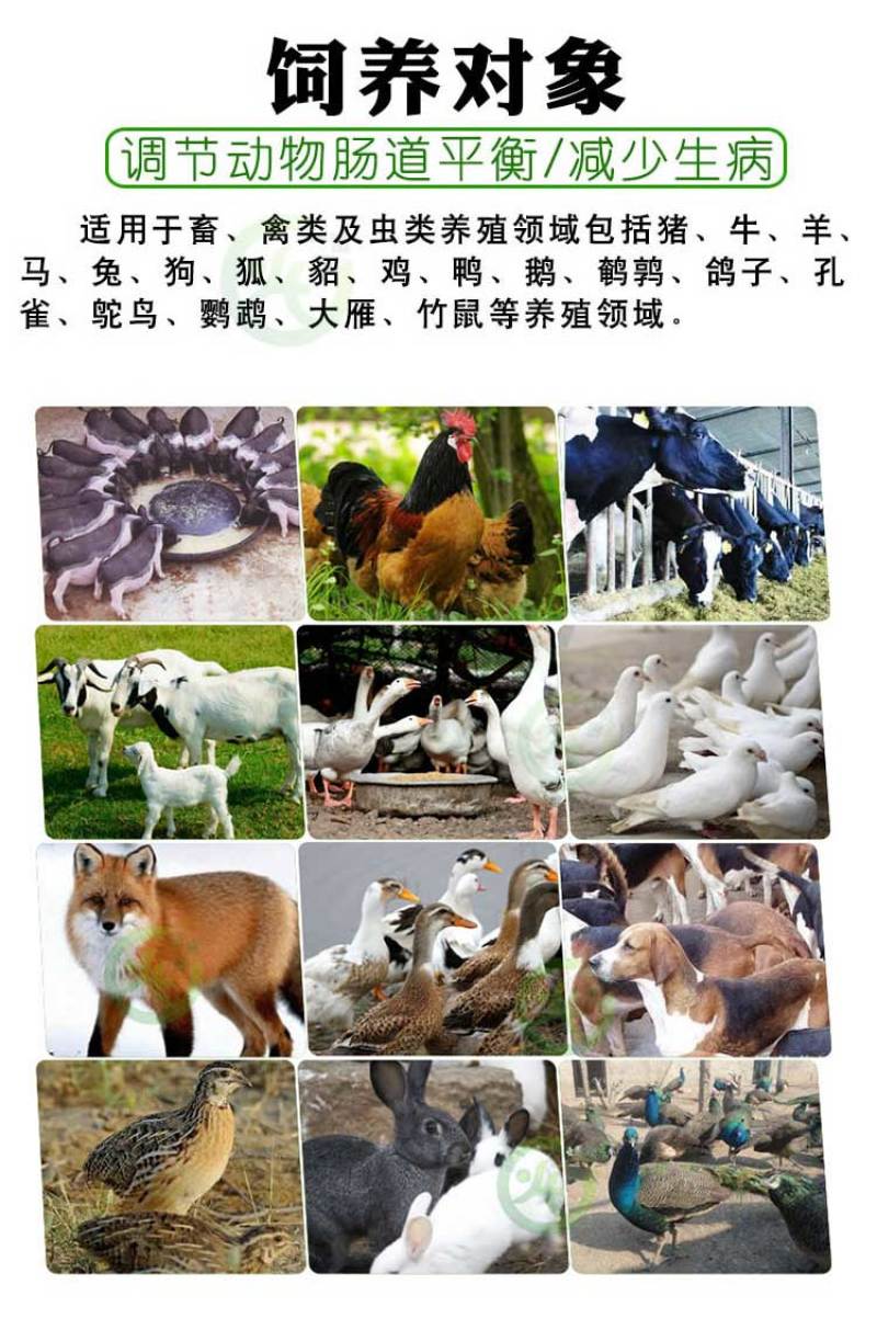 枯草芽孢杆菌养殖兽用禽用
