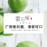 [微商**]番石榴芭乐5/10斤坏果包赔一件代发现摘