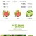 [微商**]番石榴芭乐5/10斤坏果包赔一件代发现摘
