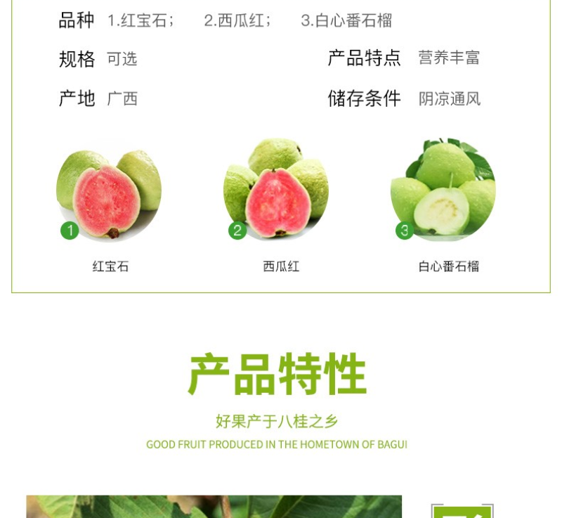 [微商**]番石榴芭乐5/10斤坏果包赔一件代发现摘