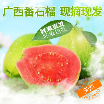 [微商**]番石榴芭乐5/10斤坏果包赔一件代发现摘