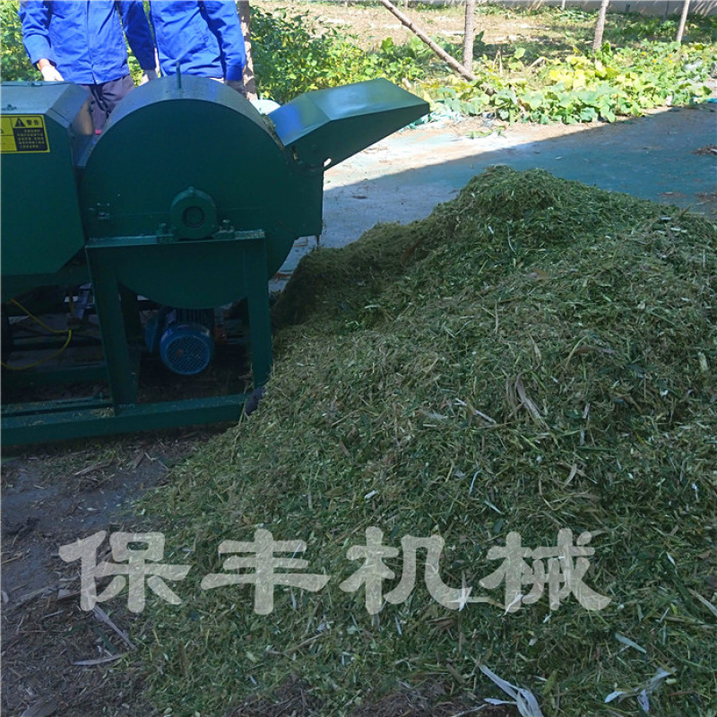 自动输送粉碎机玉米秸秆粉碎机干湿两用粉碎揉丝机厂家
