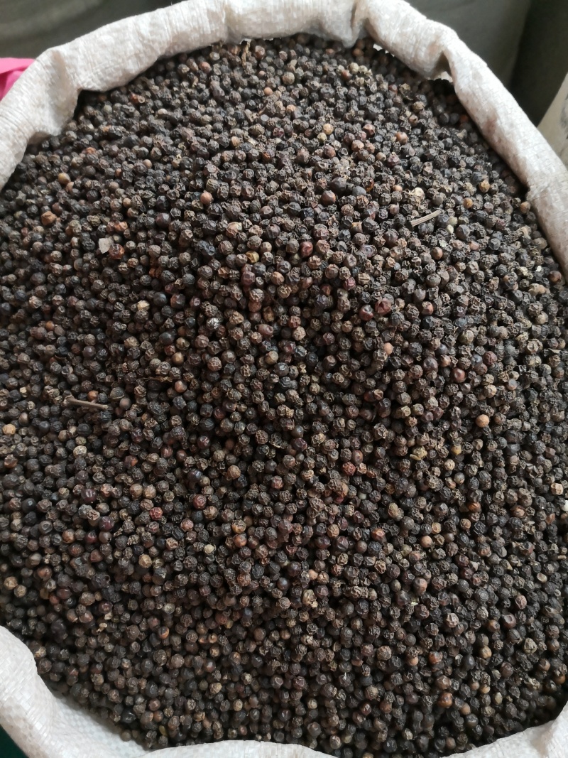 黑胡椒中药材黑胡椒精选大颗粒纯正无添加质量保证