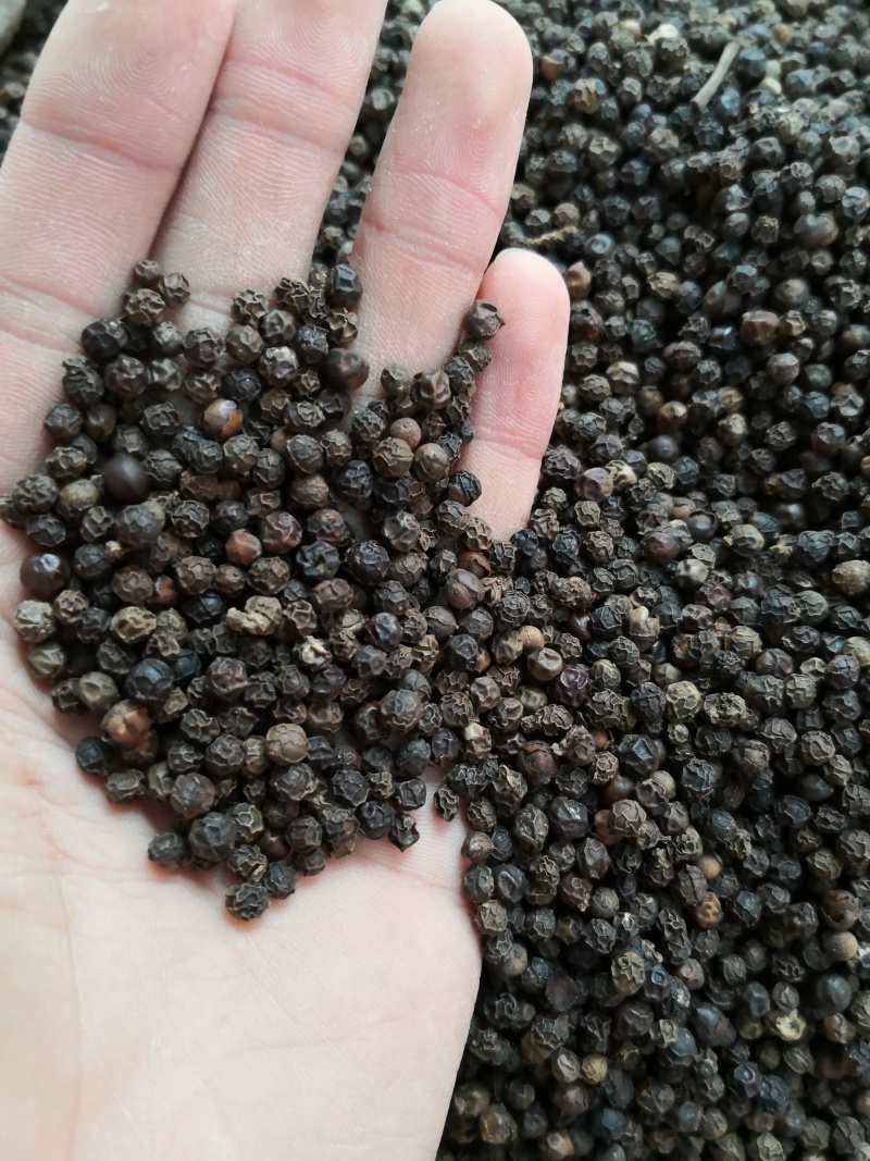 黑胡椒中药材黑胡椒精选大颗粒纯正无添加质量保证