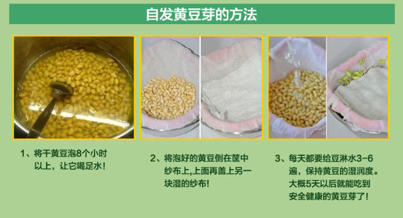 2019新豆老品种黄豆农家自种非转基因笨黄豆打豆浆大豆