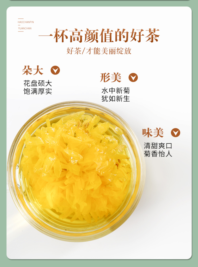 金丝皇菊一杯一朵