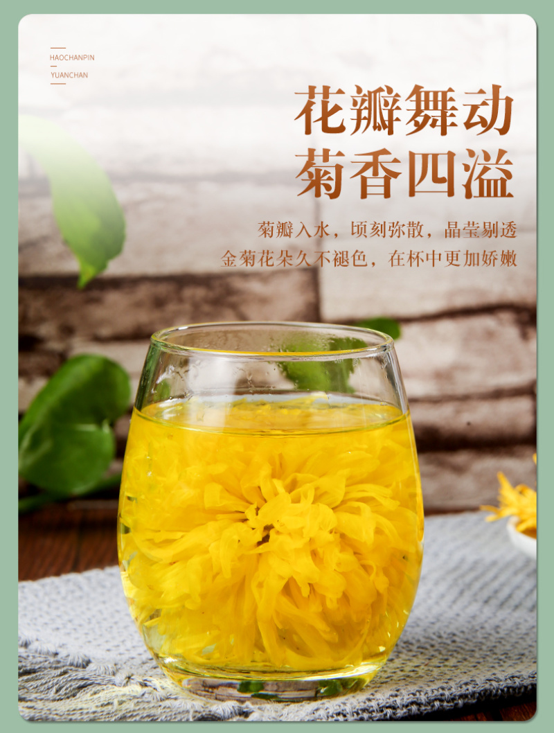 金丝皇菊一杯一朵