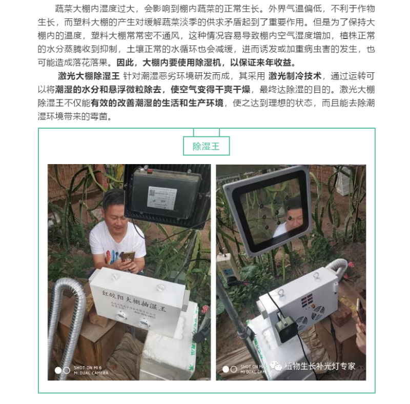 大朋除湿器除湿王大棚樱桃防裂果除湿设备大朋湿度包邮